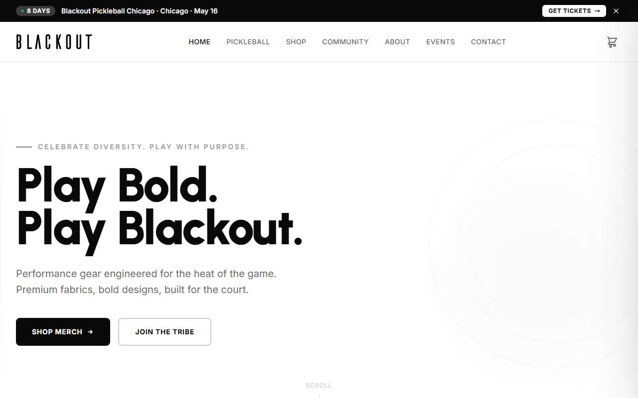 Blackout Pickleball homepage — e-commerce site with Stripe checkout